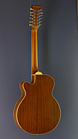 Tanglewood 12-string acoustic folk guitar, cedar, sapeli-mahogany, cutaway, pickup, back side