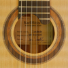 Karl Hofner, classical guitar cedar, Santos rosewood, year 2014, rosette, label