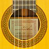 Rosette and label of Antonio Marin Montero luthier guitar spruce, rosewood, scale 65 cm, year 1987