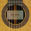Carsten Kobs classical guitar Doubletop cedar, rosewood, 2014, rosette, label