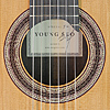 Rosette and label of guitar built by Korean guitar maker Young Seo in 2017, cedar, rosewood, scale 64 cm