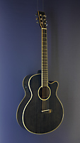 Tanglewood Black Shadow Winterleaf, black finished acoustic guitar with pickup in Folk shape with solid spruce top and mahogany on back and sides, with cutaway<