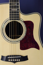 steel-string guitar